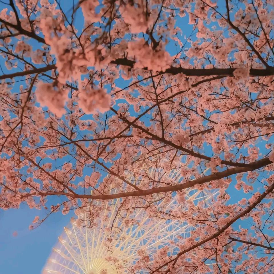 多年以后
