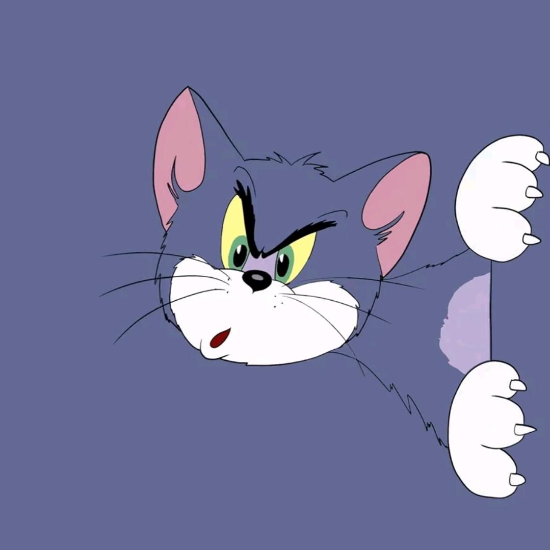 莫非你听说过我的故事