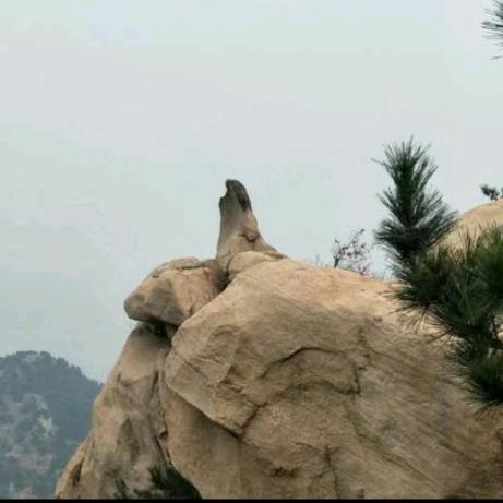 龙廷刘氏:世家四代传承守艺人