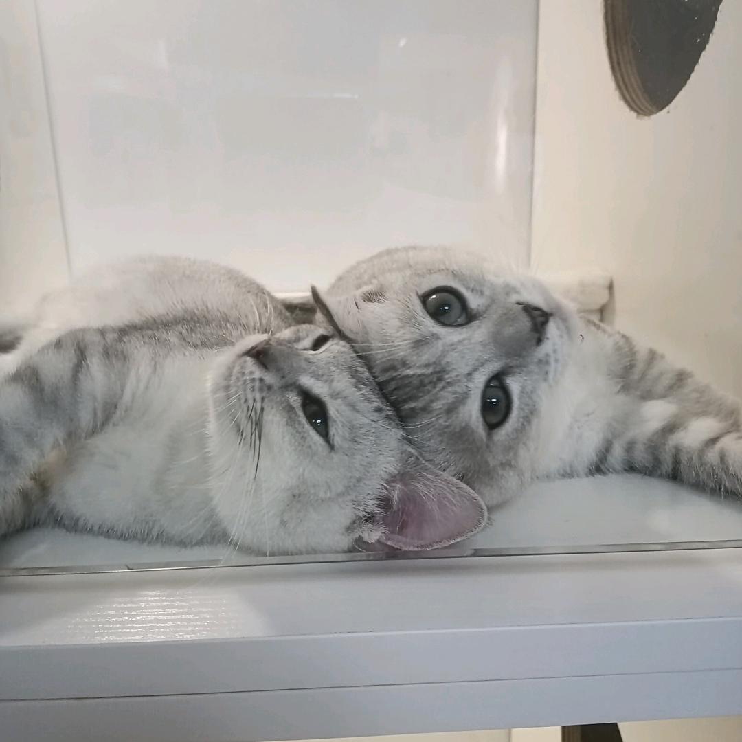 略略略