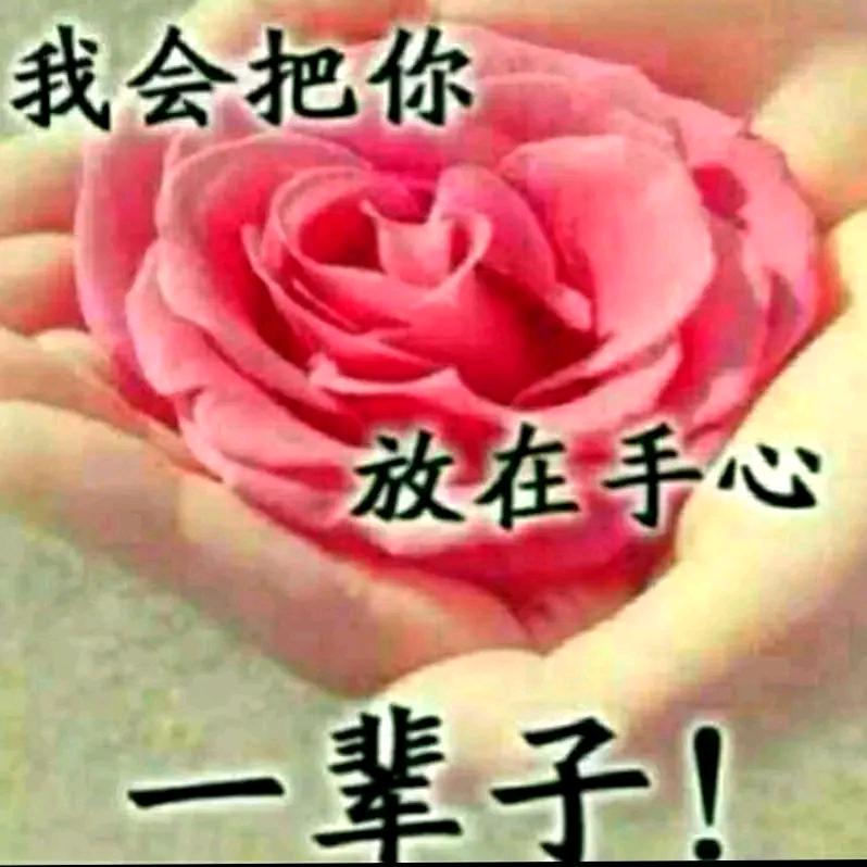 春天🌹🌹