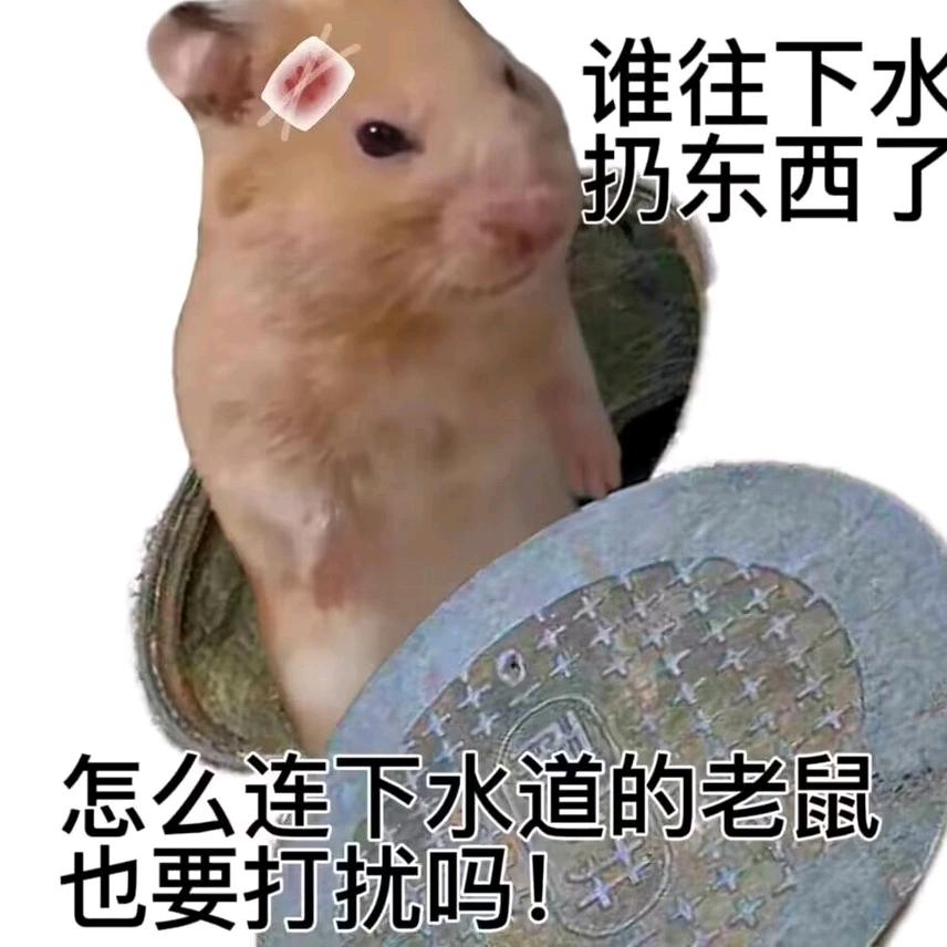 尝试