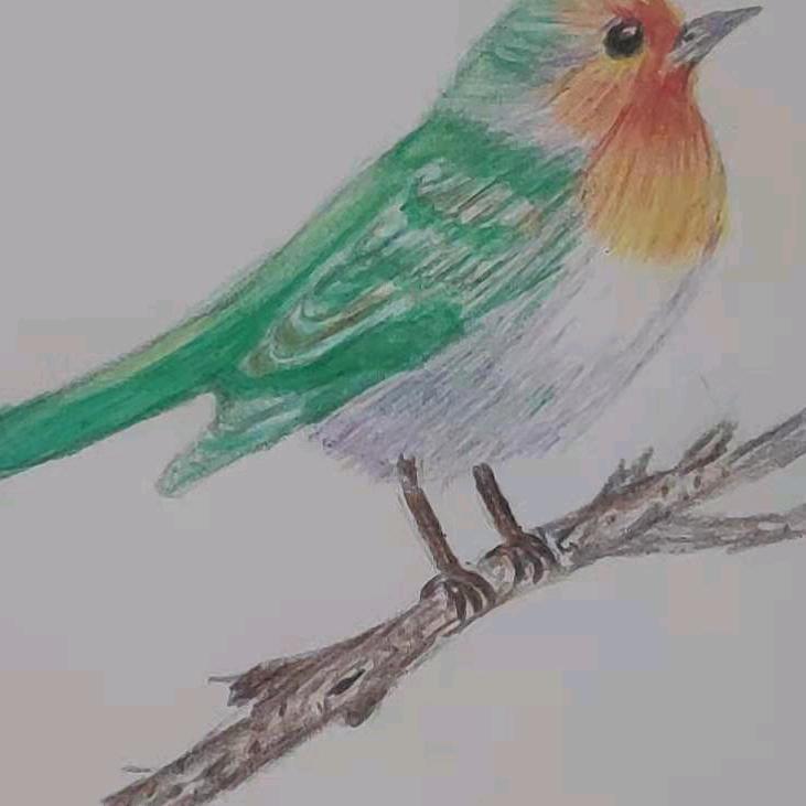 牛牛