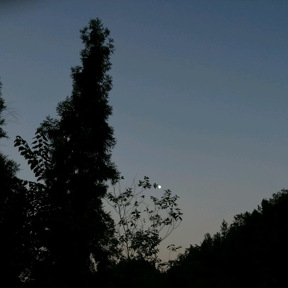 阿军