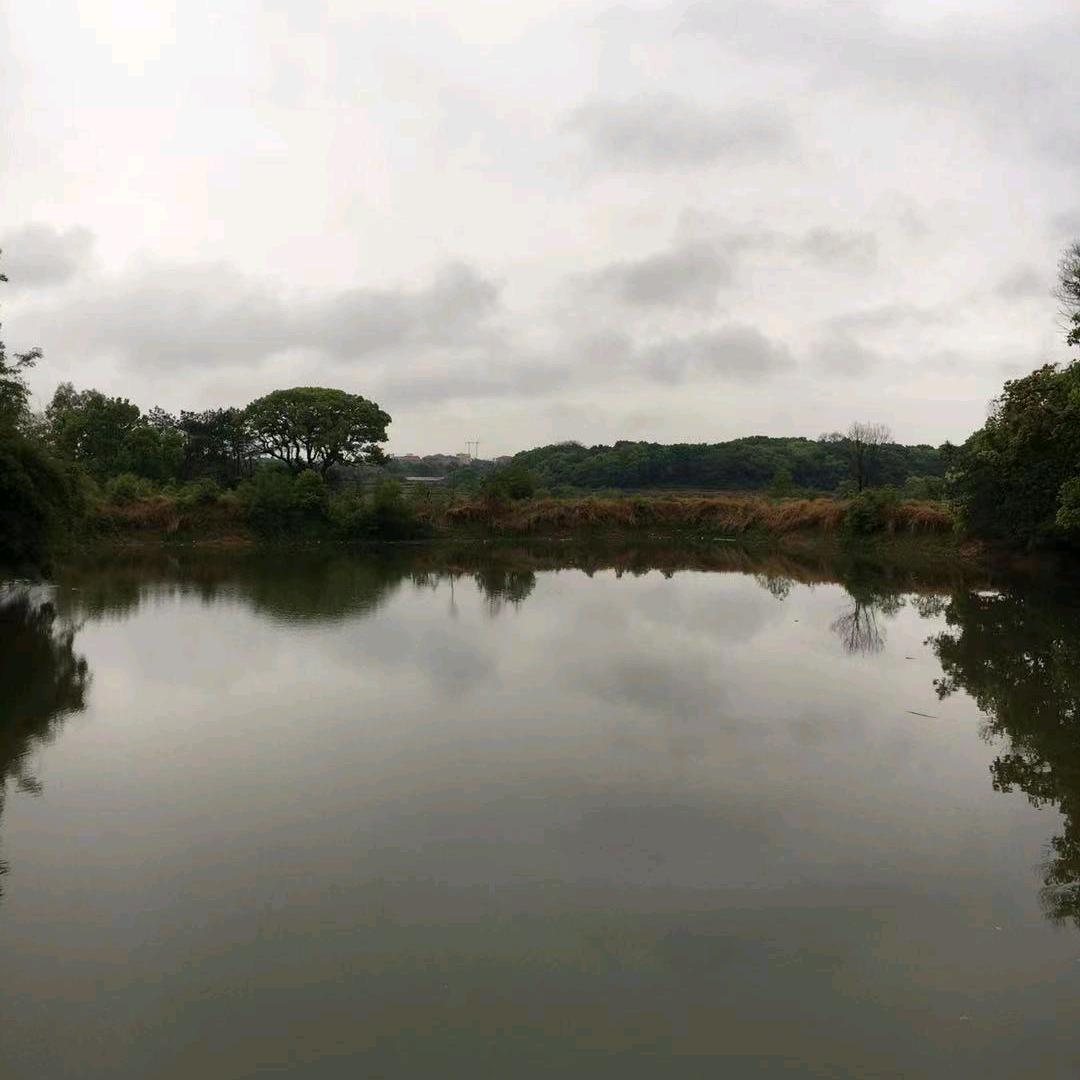 房产 婚介(小艾)