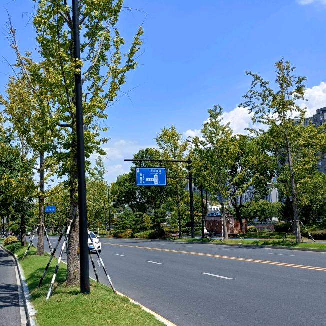 奔跑WL