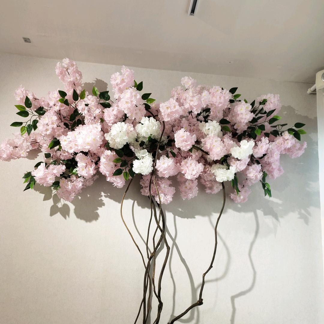 康明足浴官方号