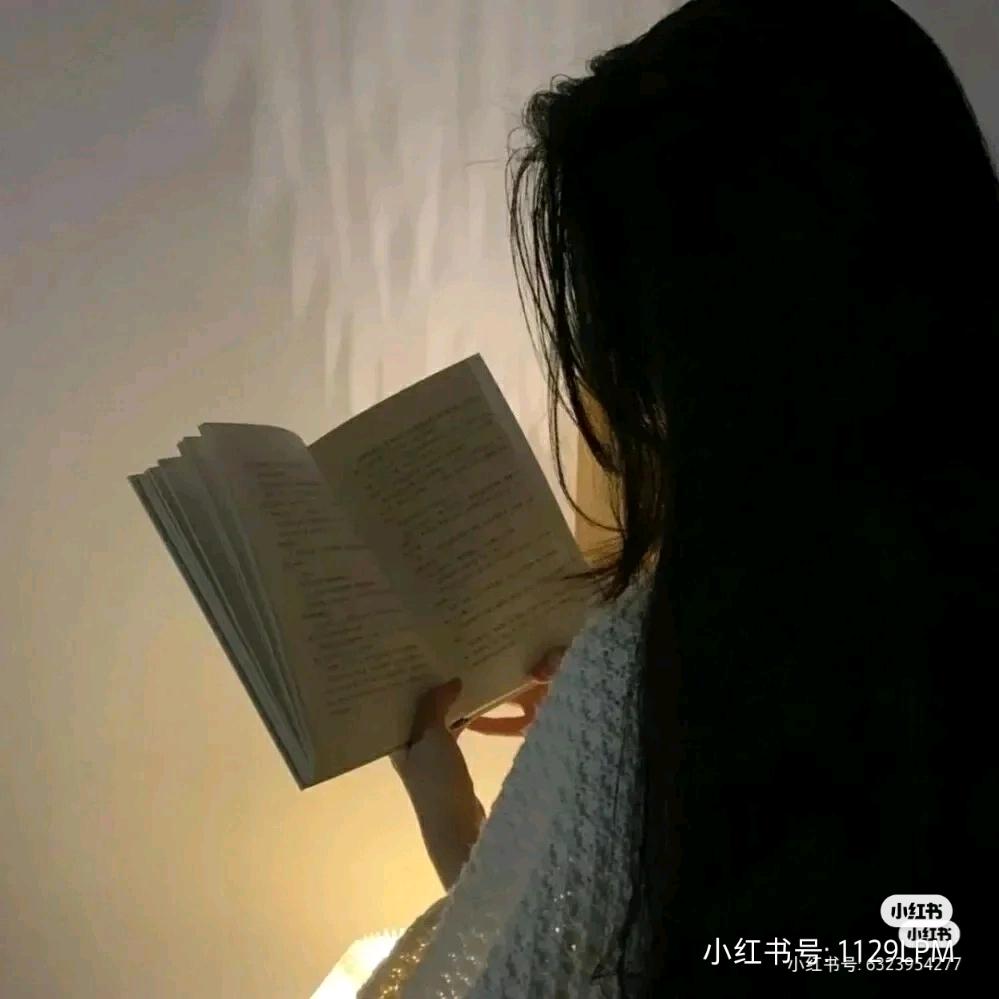 柒墨