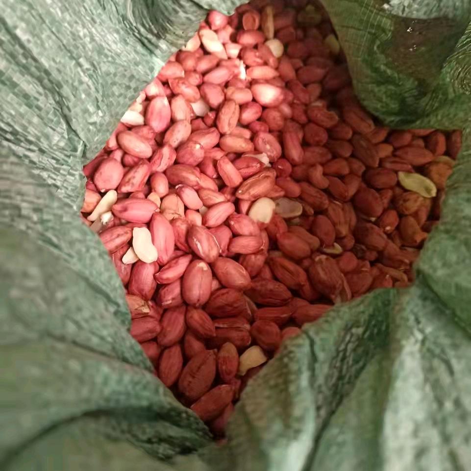 申哥