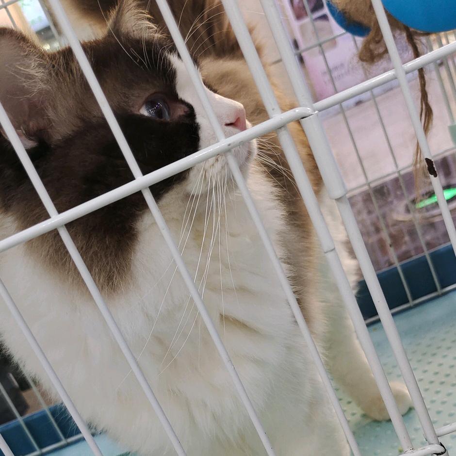 看天上的星星🌈