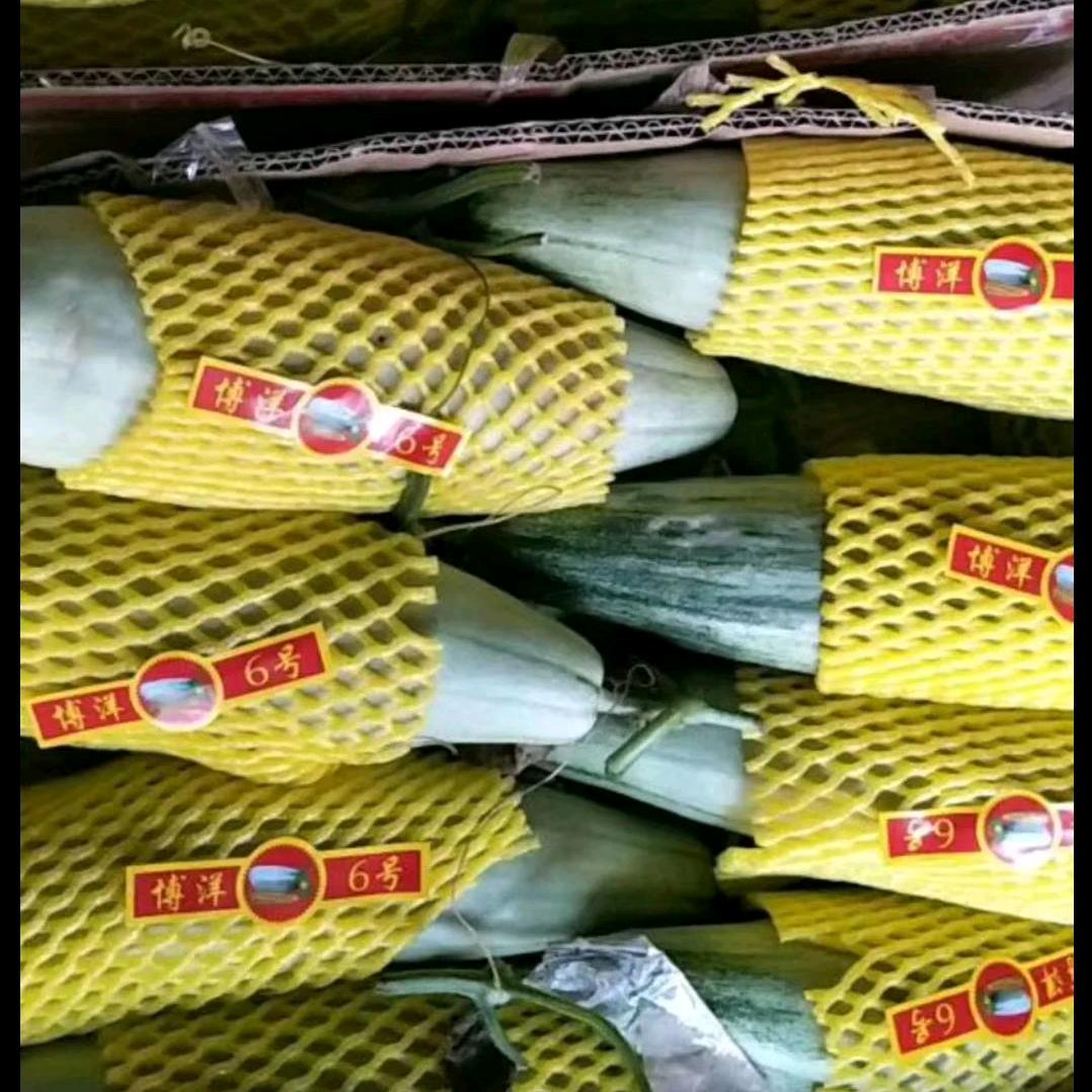 王文 代收甜瓜