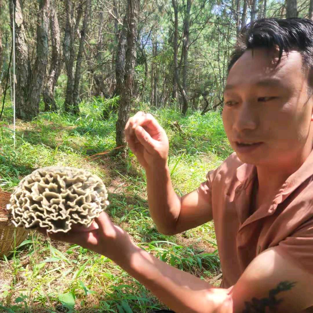 狗街卖蜂大王