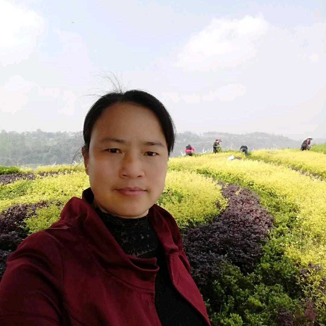 三个孩子的妈妈