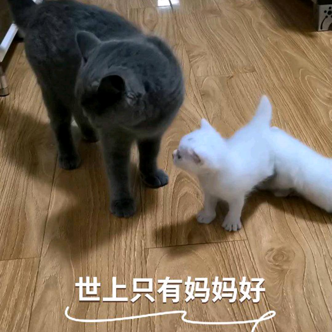 用户425850396538大海