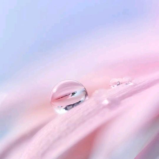 华盛帘语·雅美布艺生活馆专用号