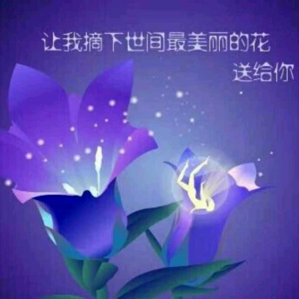 金沟发哥