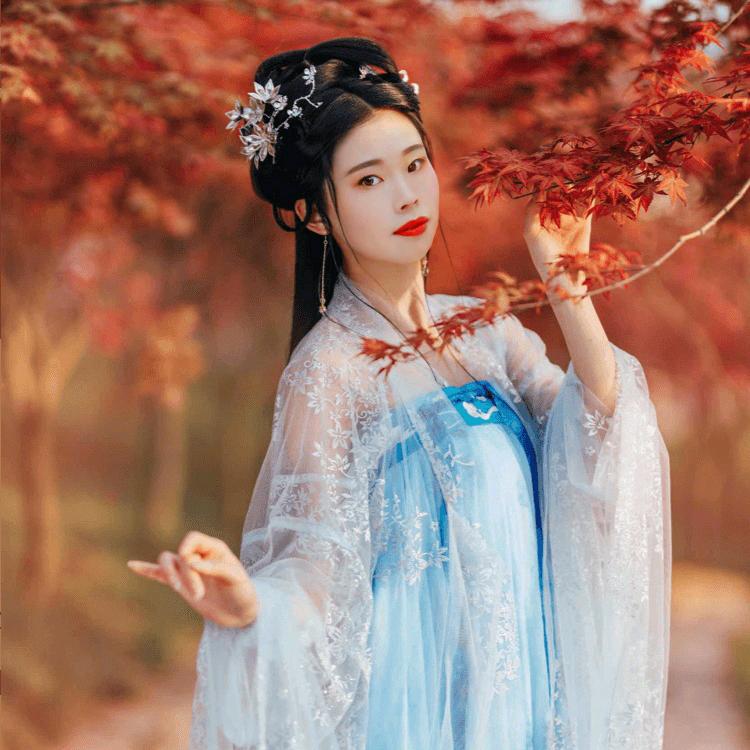 紫云若心