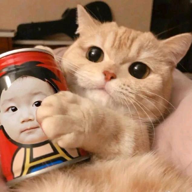 鱼儿游