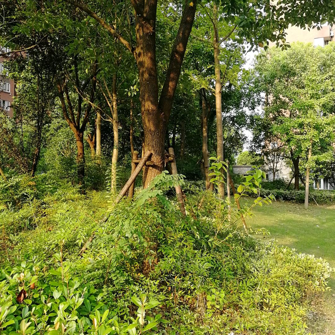 玉尘论史