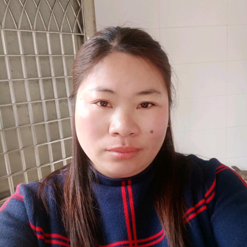 琴儿