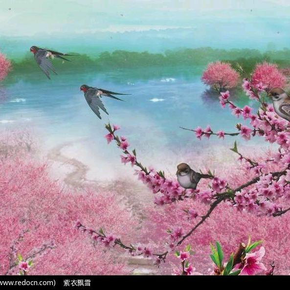 桃花盛开