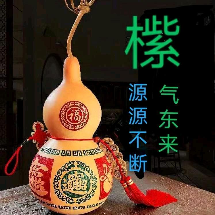 毛毛虫🐛的后来+南海
