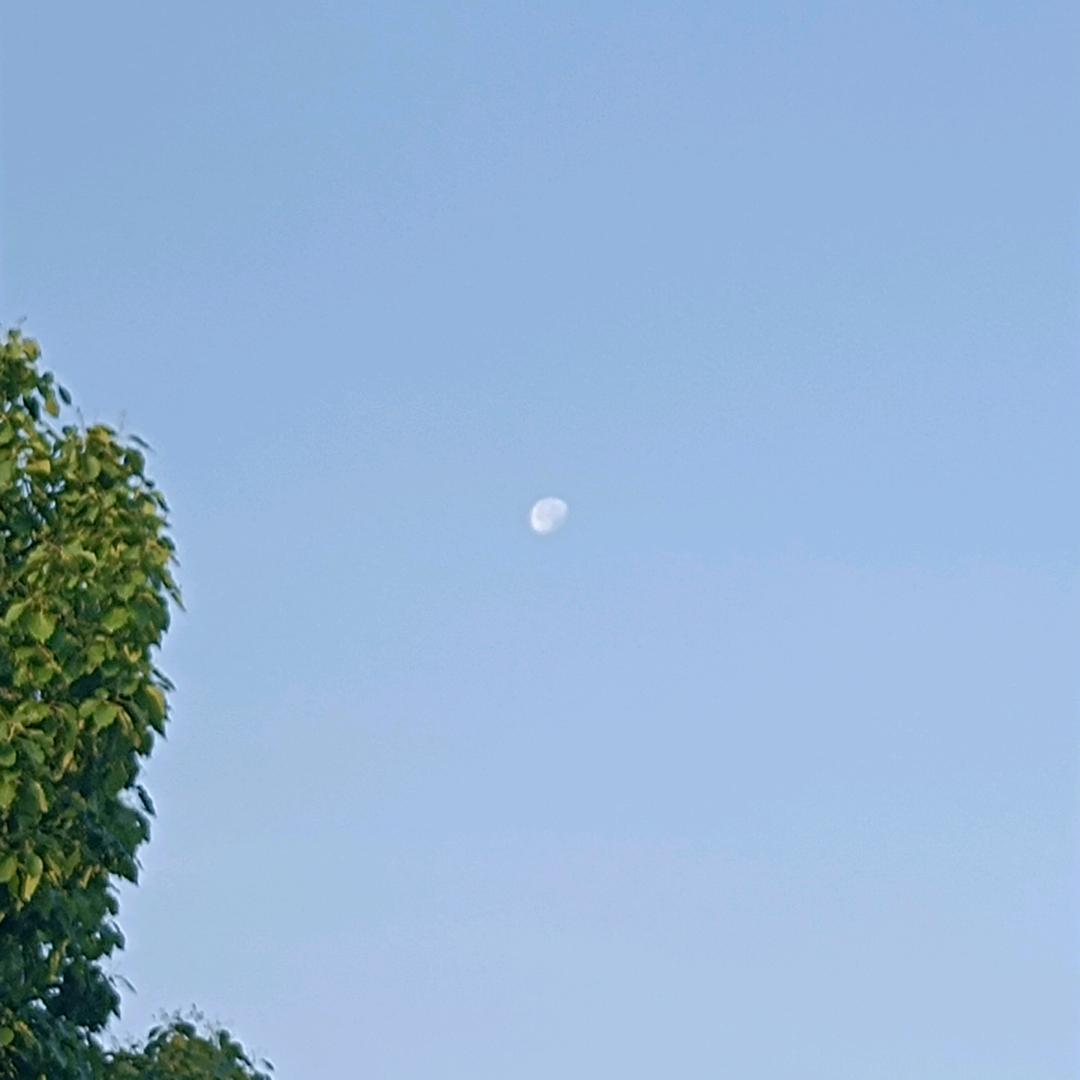 平淡如水