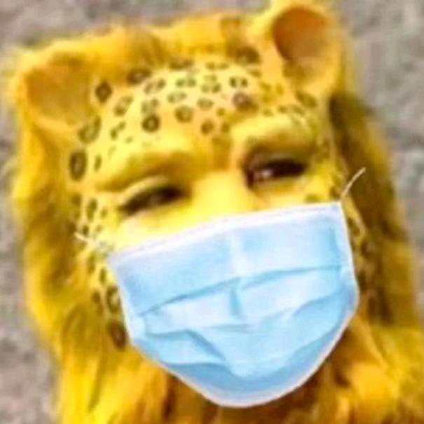 花心陈大少