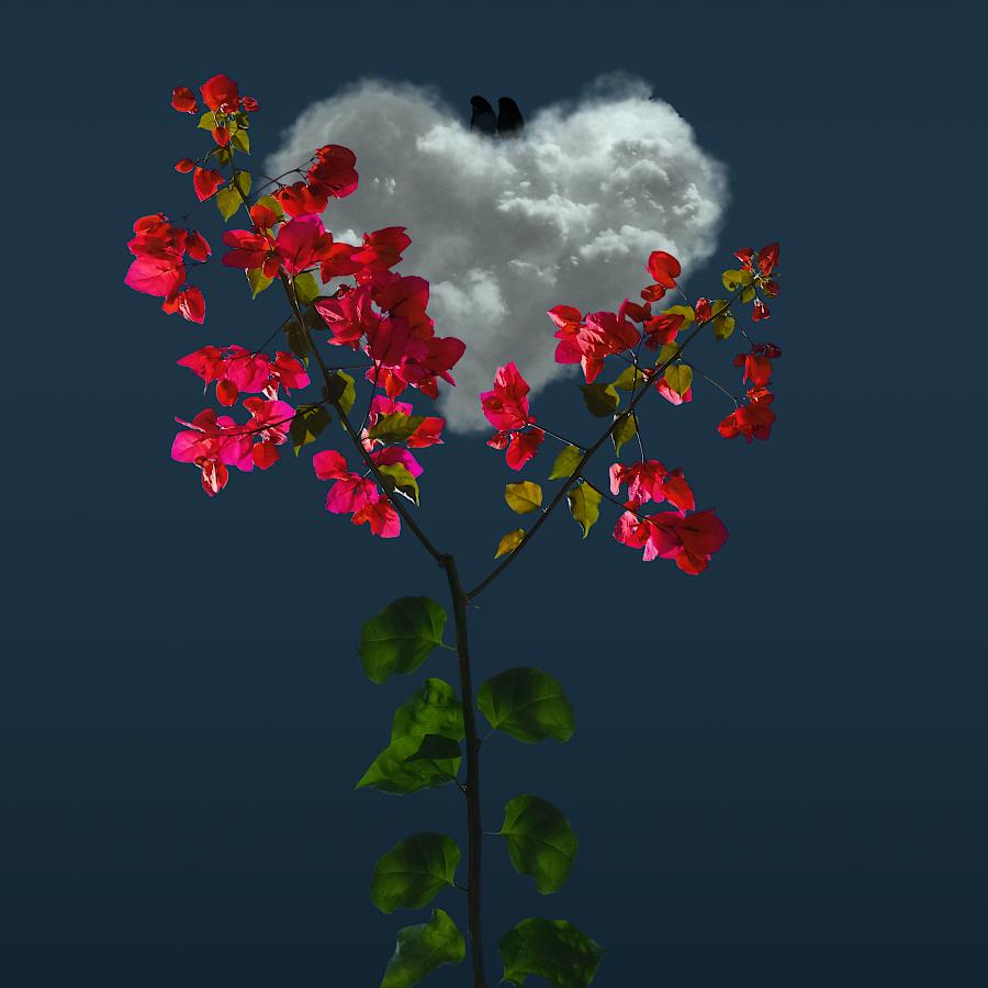 单亲家庭带三娃