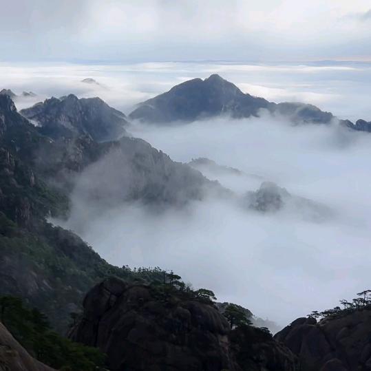 开心每一天