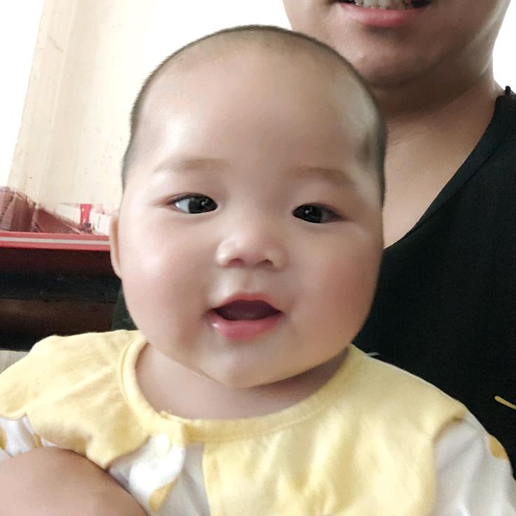 我的倔强你不懂