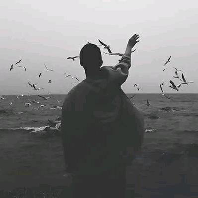 寻风