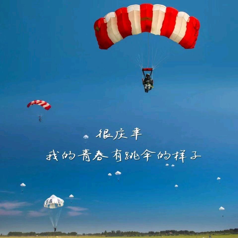 沿河观柳赏倒影