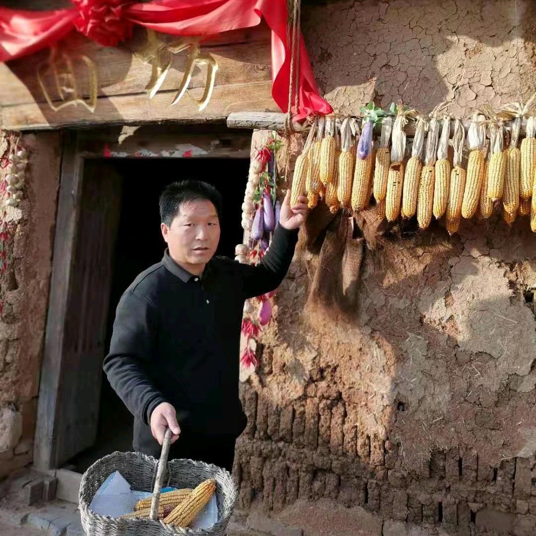 农民爱唱歌学习中，不定时开播。