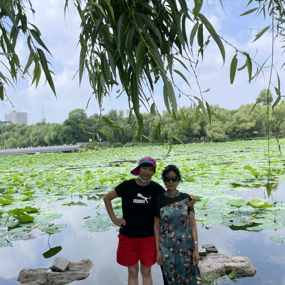 会飞的蝶