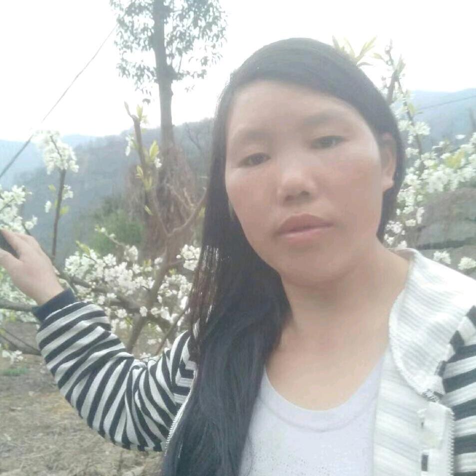 天天开心