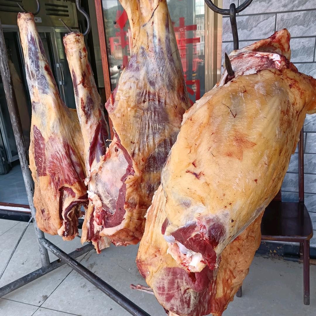 射手座🍀记忆🍀