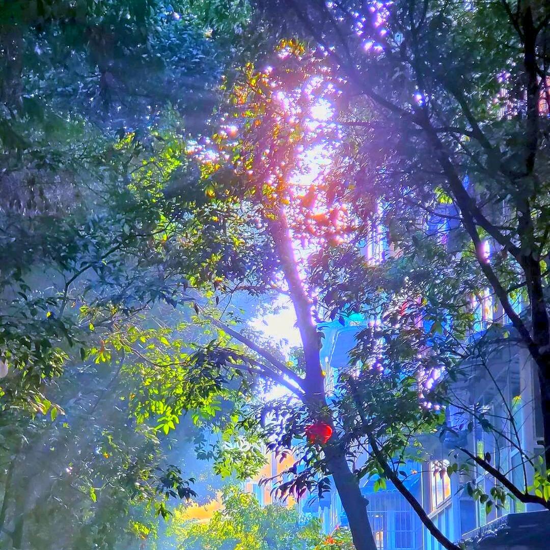 人间四月天丶