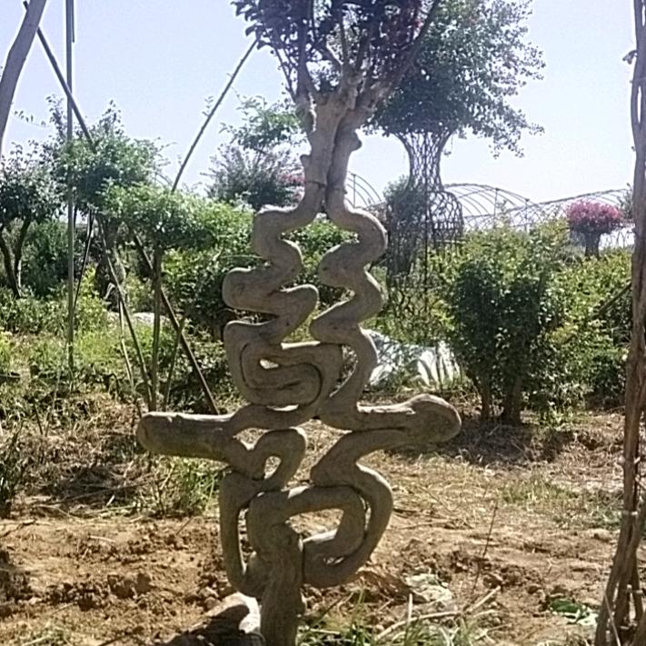 天涯666