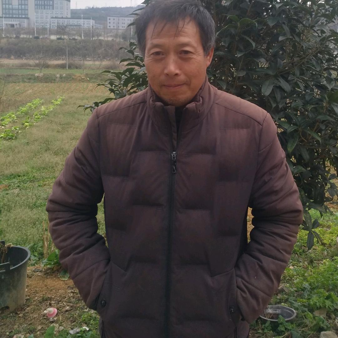 郝一挑