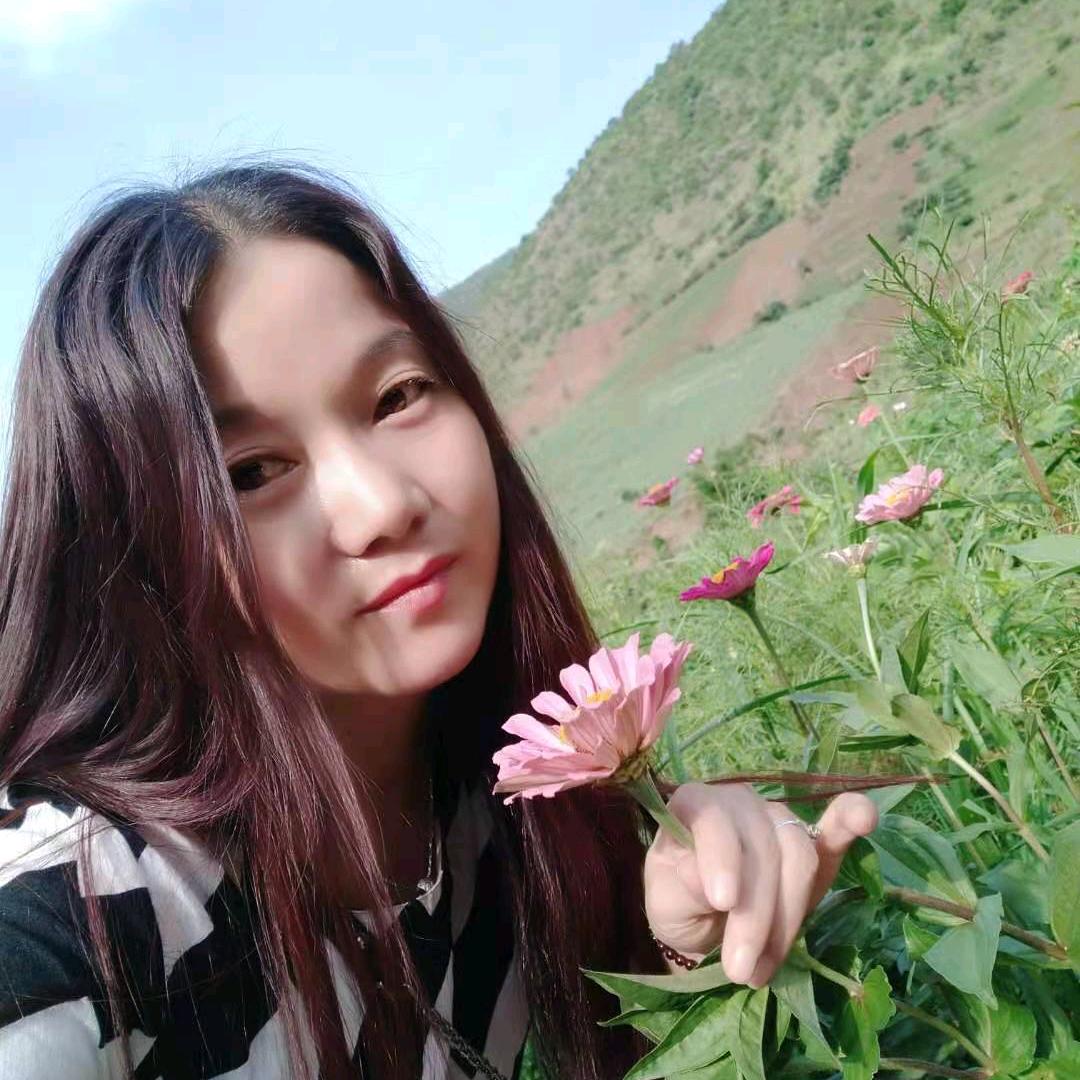 含羞草