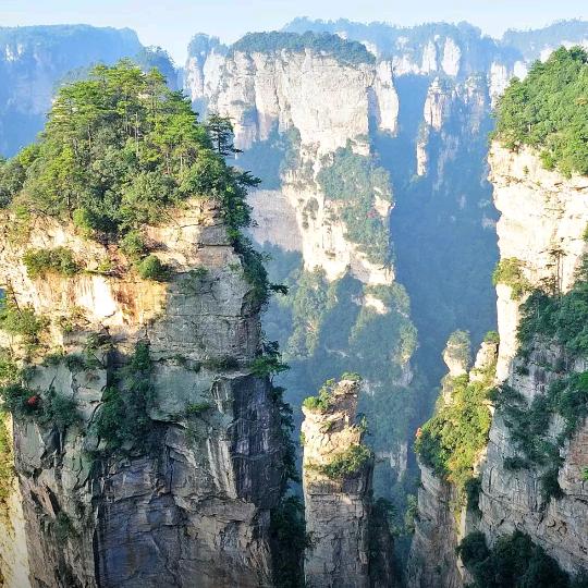 高易山人