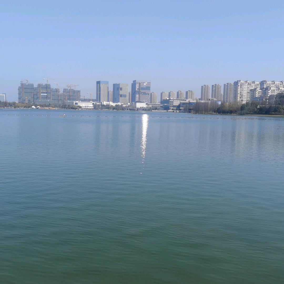 阿♡涛