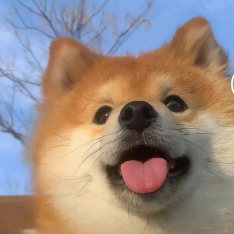 每天都要好好晒太阳