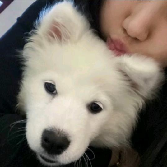 多吃菜   .