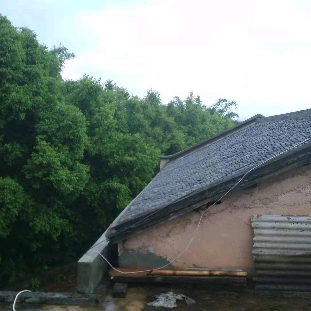 鲨鱼哥生