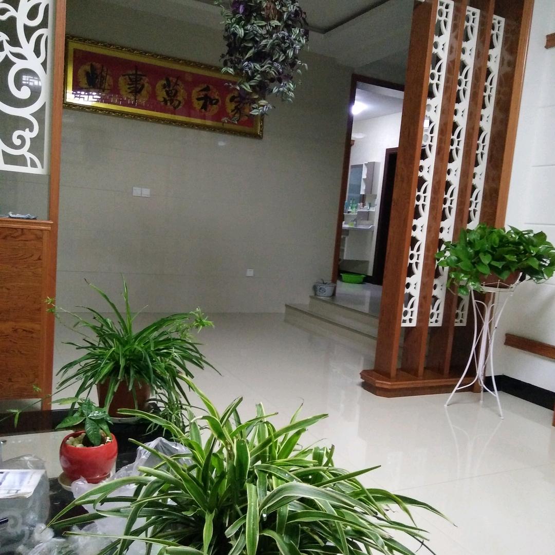 四季