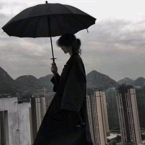 柳言沐