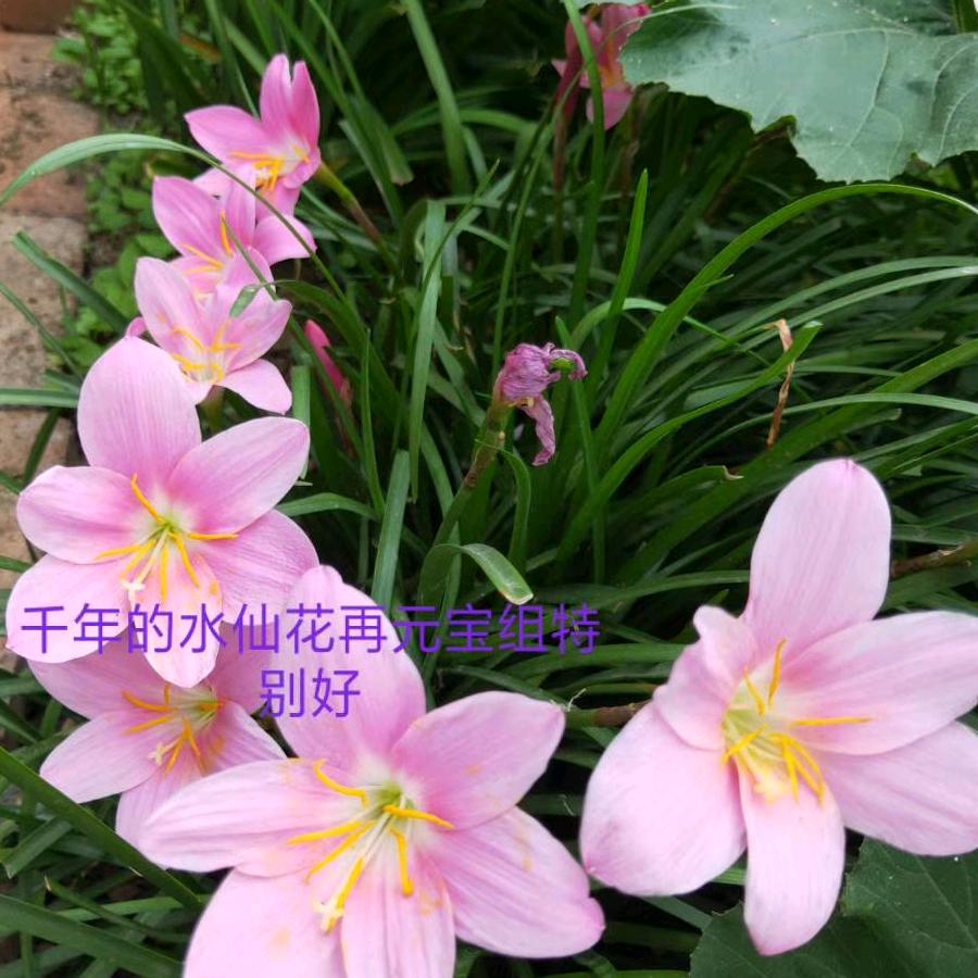 念你
