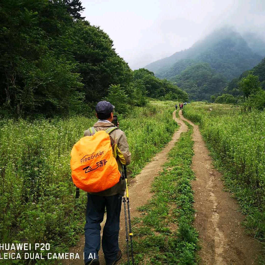 遠山